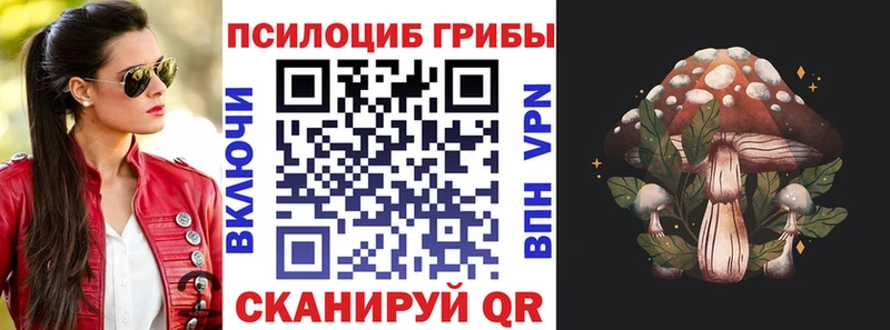 Псилоцибиновые грибы Psilocybe Александровск-Сахалинский